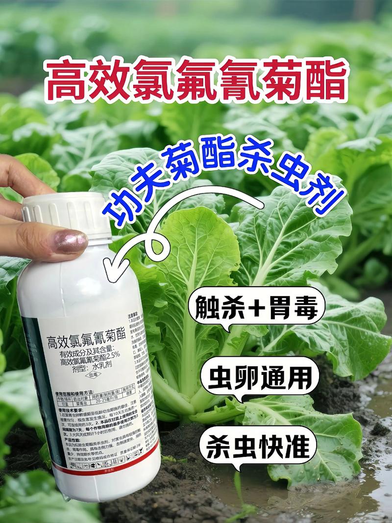 六盘水代生中心:农药对供卵代生妈妈的危害